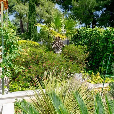 Julia 16 People Guest house Milna (Brac)